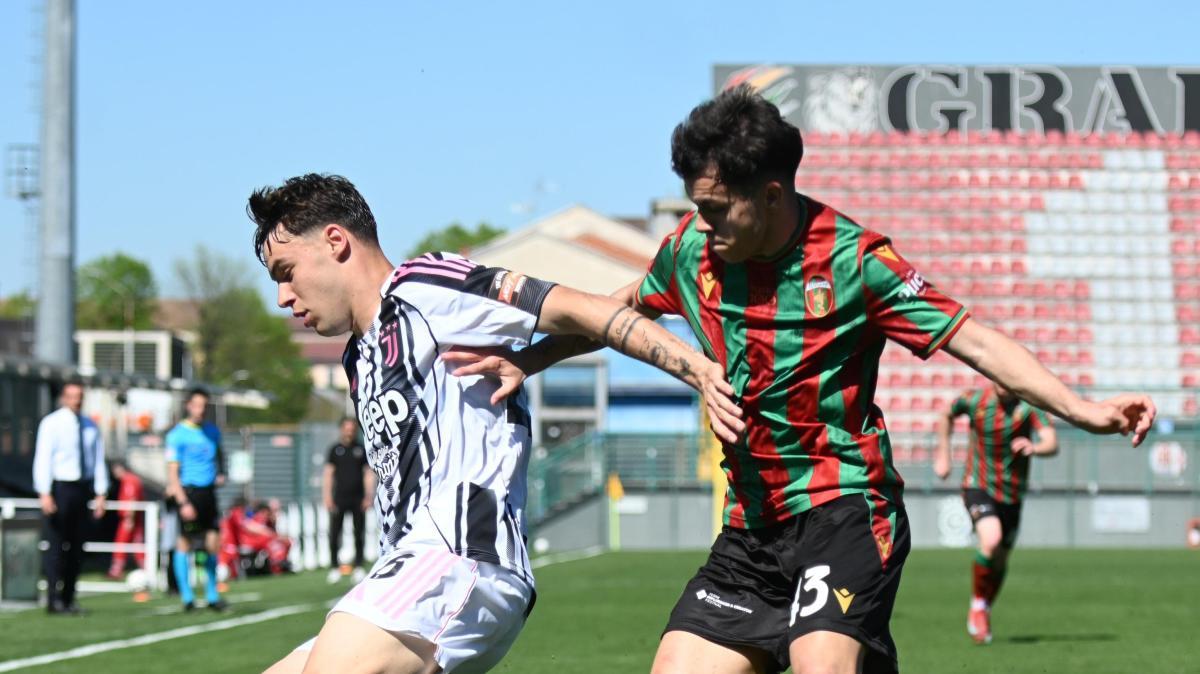 Cittadella vicino a Ndreçka: l'ex Ternana nel mirino a parametro zero