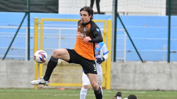 Atletico Ascoli, anche nella stagione 2025-2026 il "leone" continuerà a ruggire
