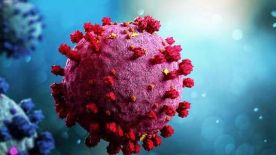 Coronavirus, il bollettino: in Italia oggi 14.242 nuovi contagi e 616 morti