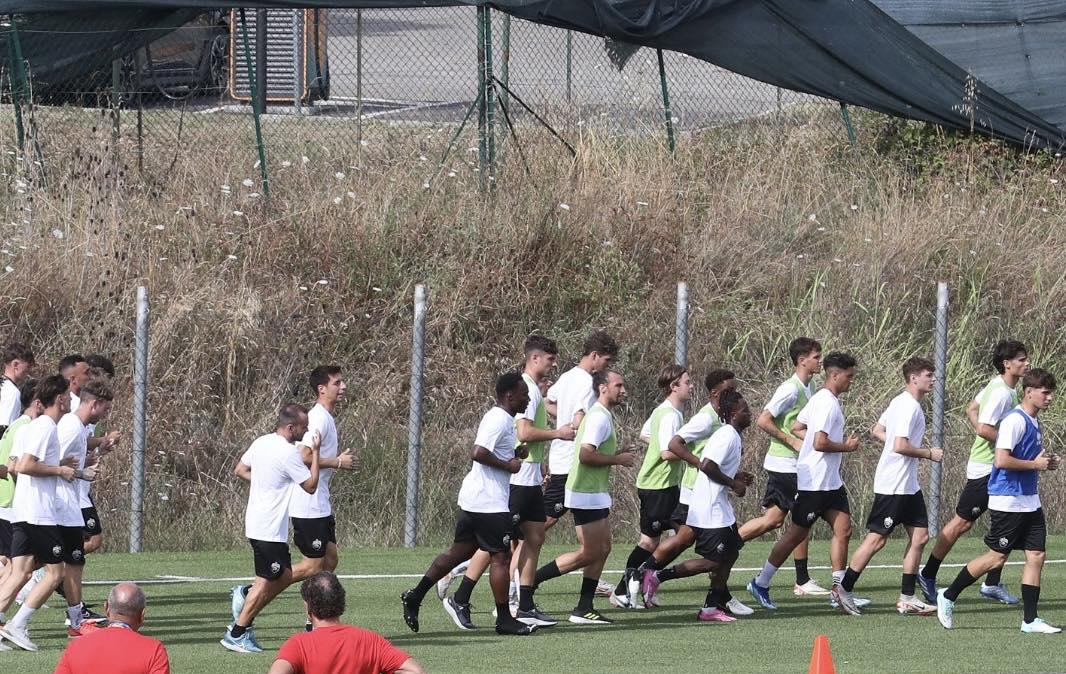 Siena, scatta il rompete le righe: il piano per il ritiro estivo e la verità sul ripescaggio