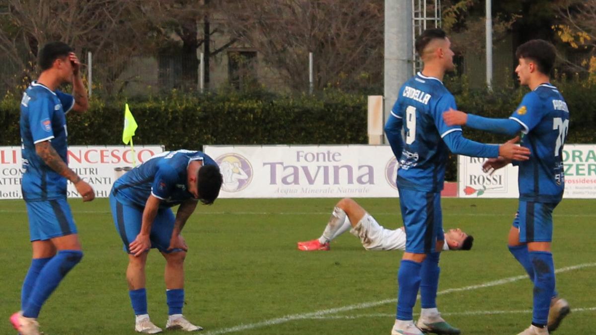 Girone D più italiano: Imolese e Desenzano sopra il 18%, quattro squadre senza stranieri