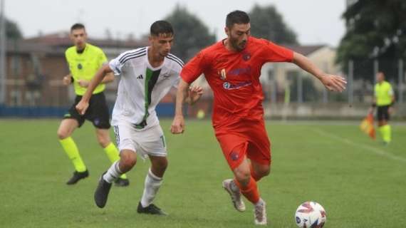 Serie D, domani di nuovo in campo i gironi A, B e C: il programma. In campo anche Gavorrano - Livorno