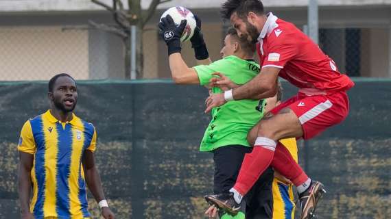 Quanti calciatori stranieri tesserati in serie D? Ecco il dato dei nove gironi