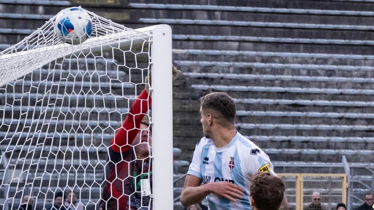 Serie D, il punto sul girone C: Il Treviso chiama, il Cjarlins risponde