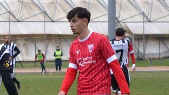 Cuccioletta verso il ritorno in Serie D: l'attaccante nel mirino di una neopromossa