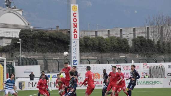 Il Trento si prende il punto contro la Pro Patria: è il quarto risultato utile di fila