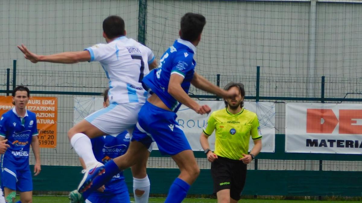 Serie D, il punto sul girone C: col Treviso già in C, il rush finale diventa una giungla