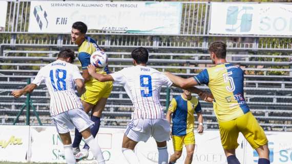 Serie D Girone E, il numero dei calciatori impiegati: chiude il Follonica Gavorrano