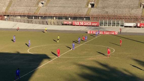 Il Varese piega il Ligorna: basta un gol di Bonaccorsi