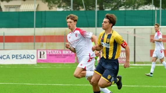 UFFICIALE: Vis Pesaro, Bastianelli rinnova e poi passa in una big di Serie D