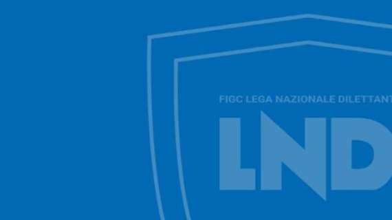 LND, ufficiale il dilazionamento dei pagamenti a carico dei club