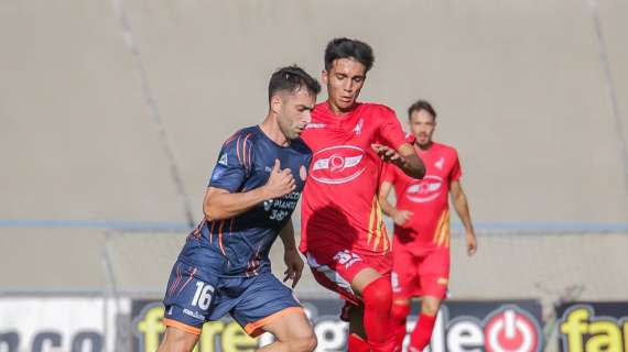 Serie D, l'esperienza come fattore chiave: i dati del girone D