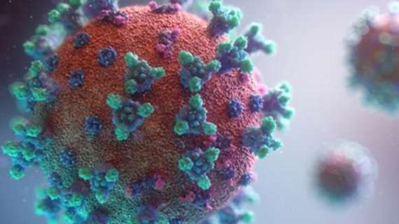 Coronavirus, il bollettino: in Italia oggi 19.350 nuovi contagi e 785 morti