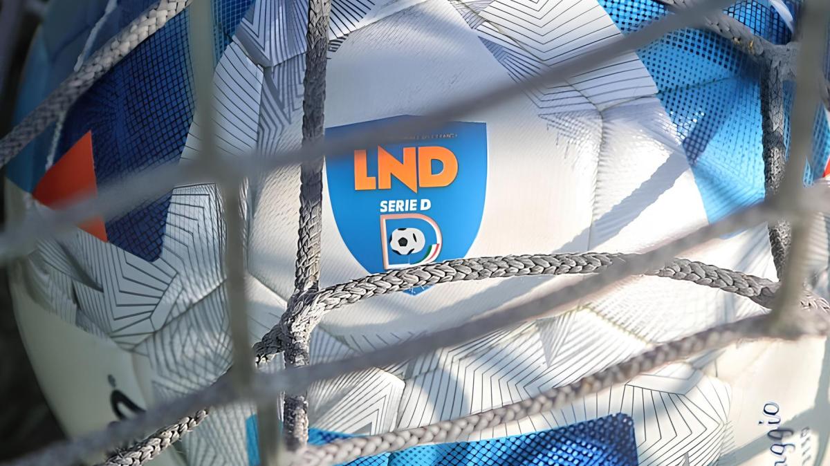 Serie D, risultati e marcatori dei recupero: il Desenzano vince e si prende la vetta! Ok Enna, cade il Milan Futuro