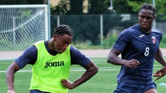 Serie D 25-26, il valore delle rose del girone A: la più quotata è il Vado