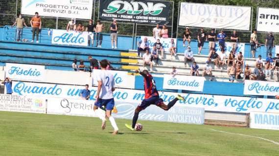 Vis Pesaro, acquistato in attacco Sulayman Jallow dall'Arzignano
