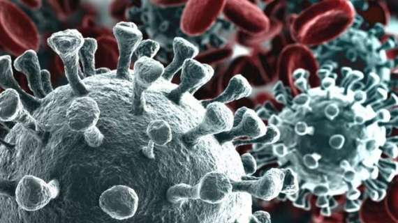 Coronavirus, il bollettino: in Italia oggi  34.505 nuovi contagi e 445 morti