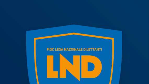 LND: ecco i premi in denaro per la serie D 2021-2022