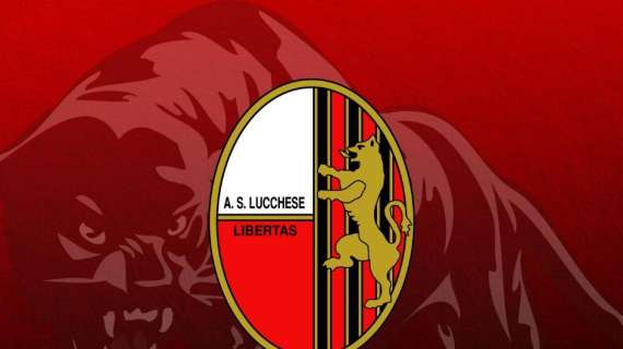 UFFICIALE: Altro rinnovo di contratto in casa Lucchese