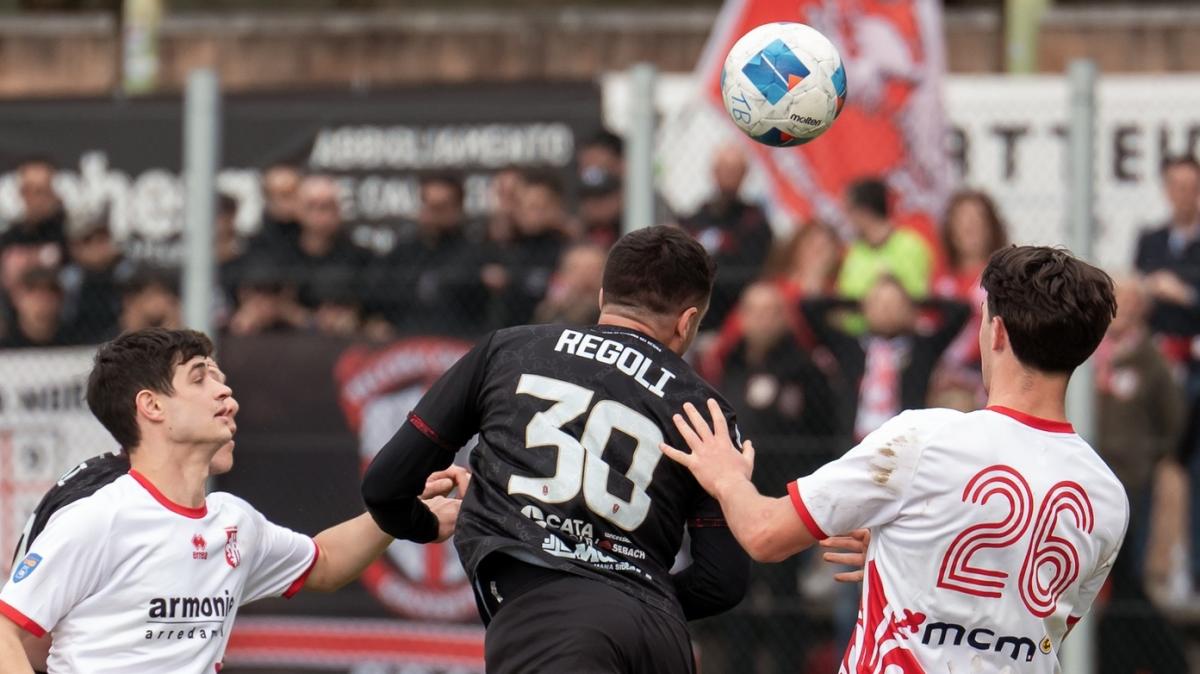 Serie D - girone E, la presentazione del 29° turno: il Grosseto ha voglia di far festa, per il Seravezza è uno spareggio play-off