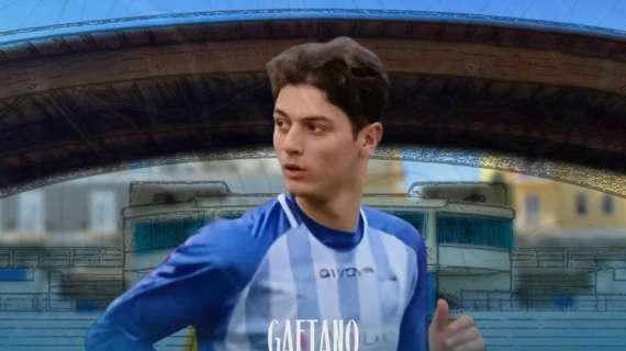 UFFICIALE: Altro acquisto da parte del Manfredonia