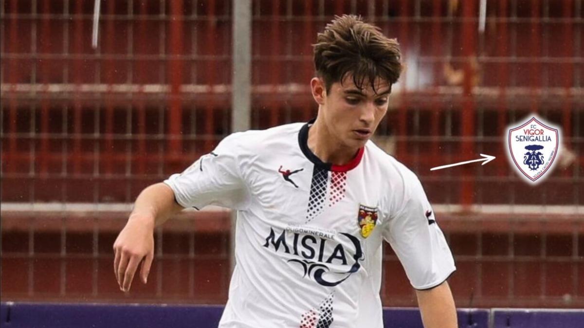 Vigor Senigallia, colpo di prospettiva: arriva il difensore Simone Tardini