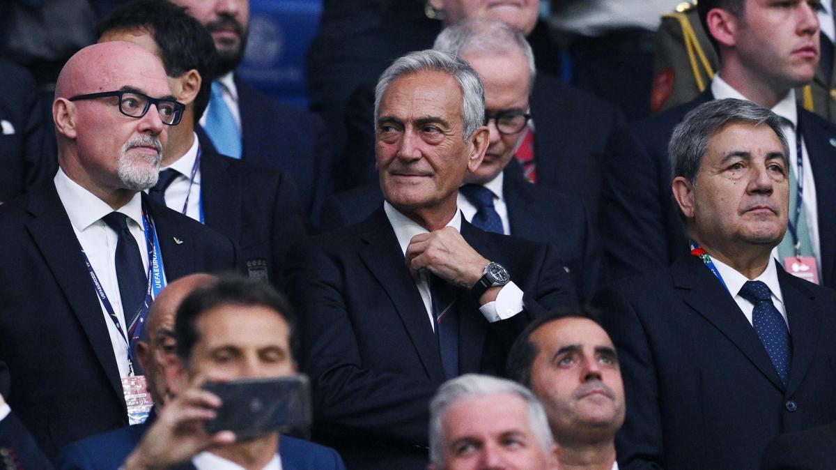 Gravina: «Troppe società professionistiche. Entro dicembre proposta per ridurre...»