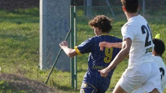 Castelfidardo, Imolese e non solo su un 2006 autore di 4 reti quest'anno in D
