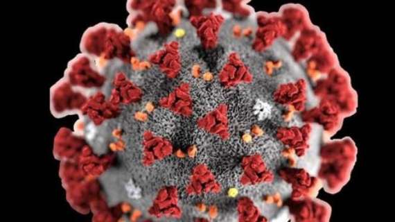 Coronavirus, più di 4,5 milioni di casi nel mondo. Oltre 300mila i morti