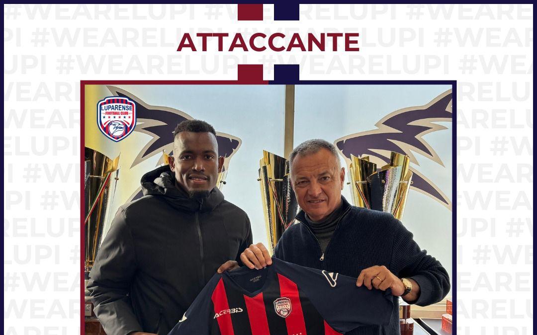 UFFICIALE: Luparense, colpo da urlo in attacco! Confermata la nostra esclusiva
