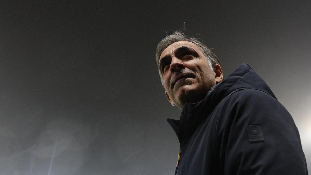 Pisa cerca il nuovo allenatore: Pecchia in pole, ma la lista si allunga