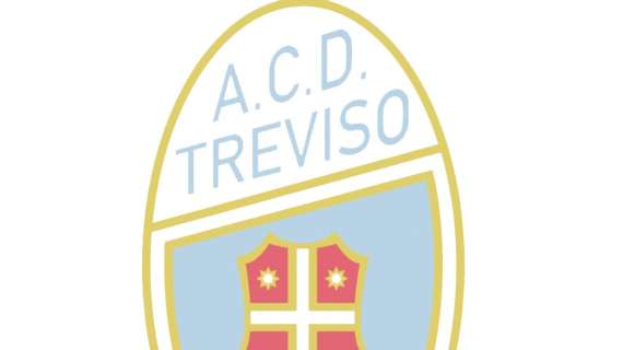 Treviso, esonerato il responsabile del settore giovanile Scandolin