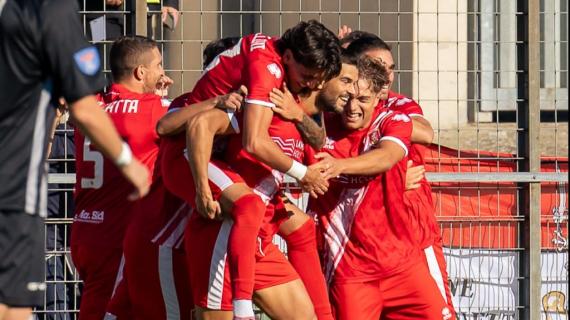 Serie D, girone E: Siena, Tau e Grosseto si giocano il primato. Occhio al Seravezza