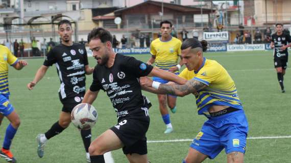 Serie D 2024-2025: la lista nera delle retrocesse. Chi ha detto addio alla categoria?