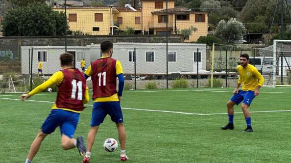 Serie D, l'esperienza come fattore chiave: i dati del girone G