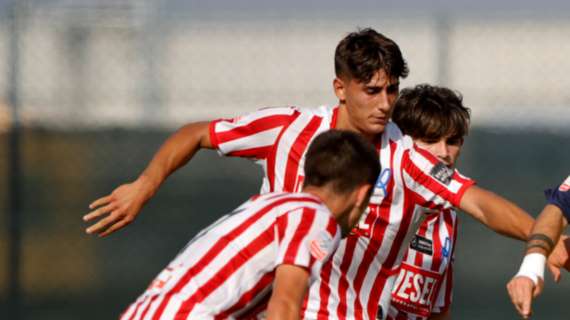 Avezzano: Allessi potrebbe restare nel girone F di Serie D