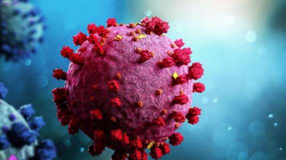 Coronavirus, il bollettino: in Italia oggi 13.574 nuovi contagiati e 477 morti