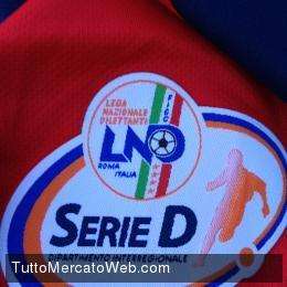 Ecco la Serie D 2013-2014