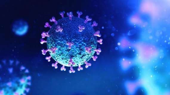 Coronavirus, il bollettino: in Italia oggi 14.372 nuovi contagiati e 492 morti