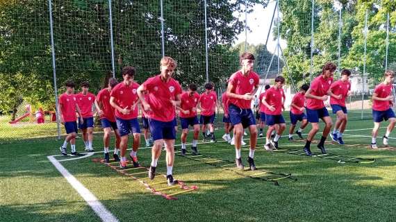 Serie D, il valore economico delle rose del girone A: tutti dietro il Varese