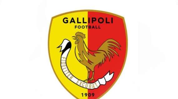 UFFICIALE: Gallipoli, stagione finita per Lopez e Fabiani. Ecco due nuovi innesti