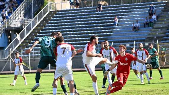 Serie D 25-26, riguardiamo il girone C: per la C occhio a Treviso, Cjarlins e Clodiense