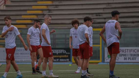 Un'analisi dei giocatori impiegati per club nel girone I di Serie D: Locri a quota 30