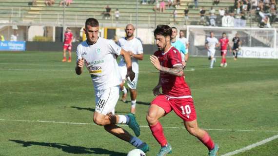 UFFICIALE: Picerno, ha firmato un 24enne attaccante ex Ancona e Carrarese