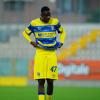 Primavera, passo falso per il Parma contro il Napoli: ora la Fiorentina può allungare