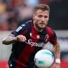 Bologna, i convocati di Italiano per la sfida di Coppa Italia contro il Parma. C'è Immobile