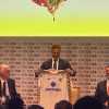 Cannavaro: "Tornare a Parma mi dà sempre bellissime sensazioni, qui sono cresciuto"
