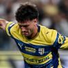 Le ultime dal mercato: nuovi club interessati a Circati e Bernabé. Begic va alla Samp