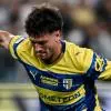 Le ultime dal mercato: nuovi club interessati a Circati e Bernabé. Begic va alla...