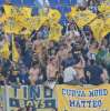 Immagine news 11